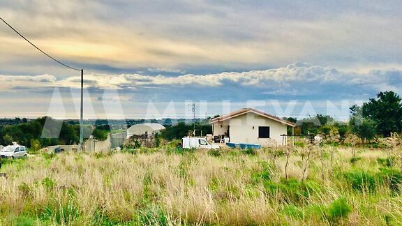 Agricultural land with seaview